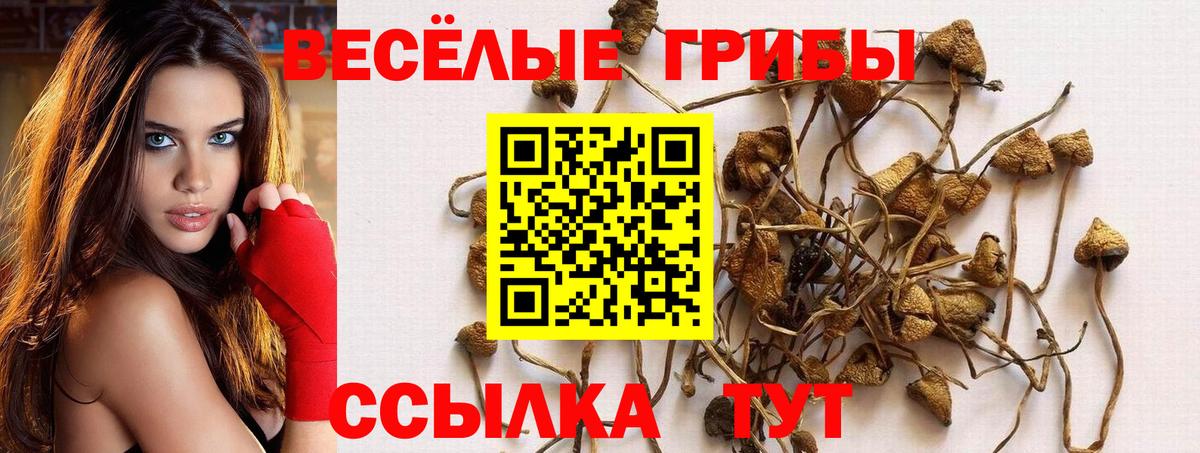 Галлюциногенные грибы Cubensis  Вход с VPN  Бугуруслан  Псилоцибиновые грибы MAGIC MUSHROOMS 